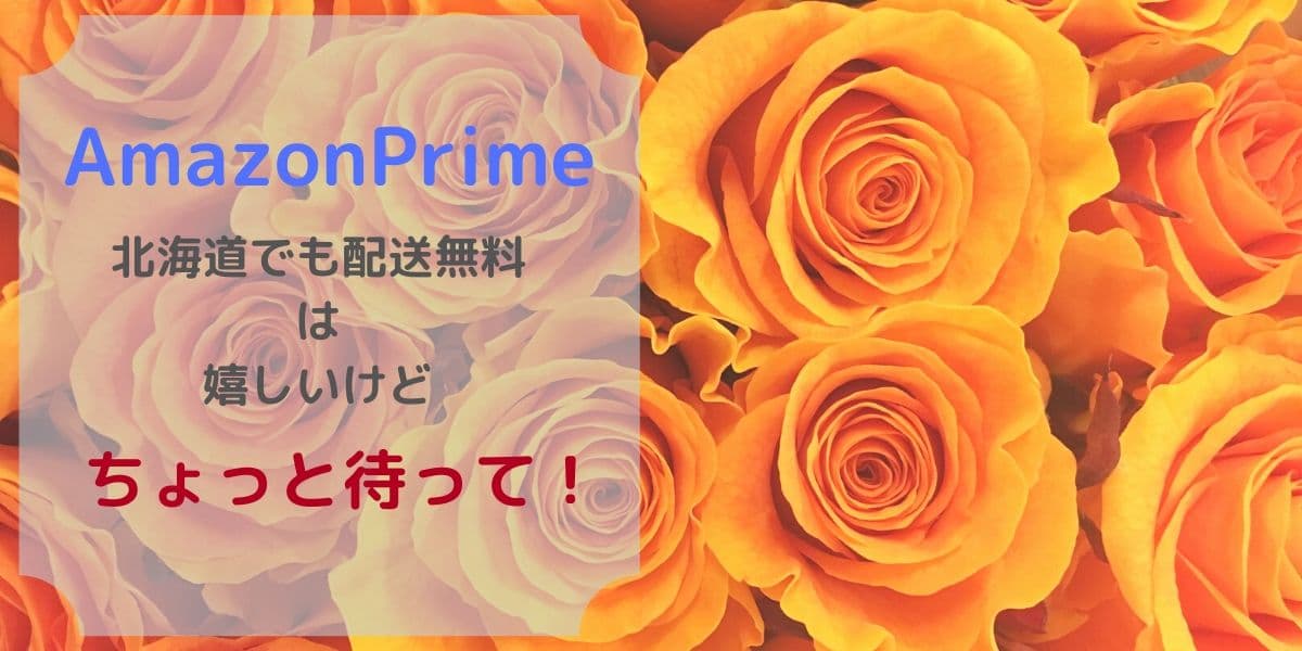 通販で北海道を送料無料にするamazon Prime でもちょっと待って 流し読みブログ